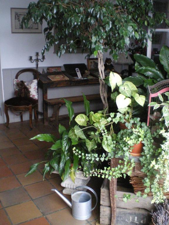 Au Bon Gre D'Hugoline Bed and Breakfast Blanzac  Eksteriør billede
