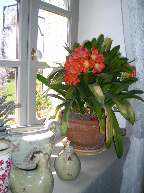 Au Bon Gre D'Hugoline Bed and Breakfast Blanzac  Eksteriør billede